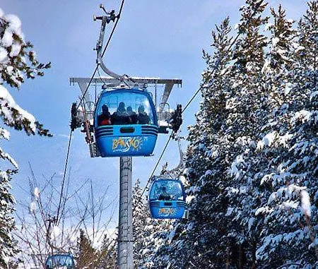 Dino Privates Emerald バンスコ