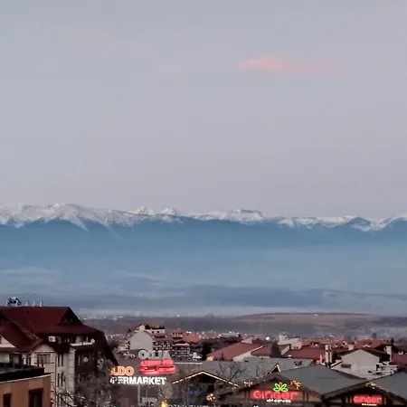 Dino Privates Emerald *